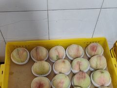 -老袁家蜜桃农场·阳山水蜜桃