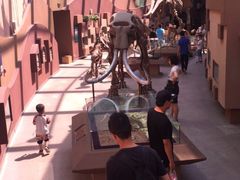 -陕西自然博物馆