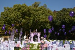 -东航云逸酒店·宴会厅