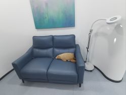 -丰联丽格医疗美容·联合丽格眼整形中心