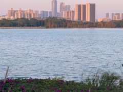 -海珠湖公园