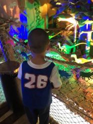 -恐龙探索乐园(磁器口店)