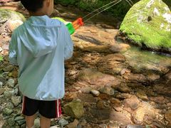 -牛背梁国家森林公园