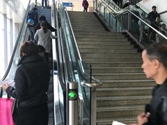 -上海交通大学医学院附属瑞金医院(总院)