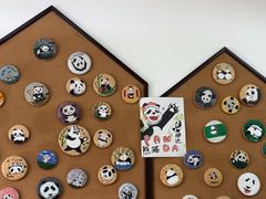 -都江堰中华大熊猫苑
