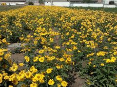 2013-09-06-553-百里山水画廊乌龙峡谷
