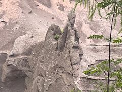 -峡谷浮石林景区