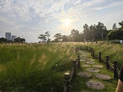 -红花山公园
