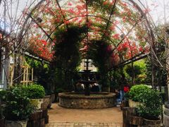 -The Grounds of Alexandria