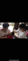 -慧婴轩婴儿理胎发胎毛笔胎毛画手足印(通州店)