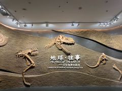 -柳州白莲洞洞穴科学博物馆