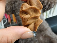 -珍妮曲奇聪明小熊(尖沙咀店)
