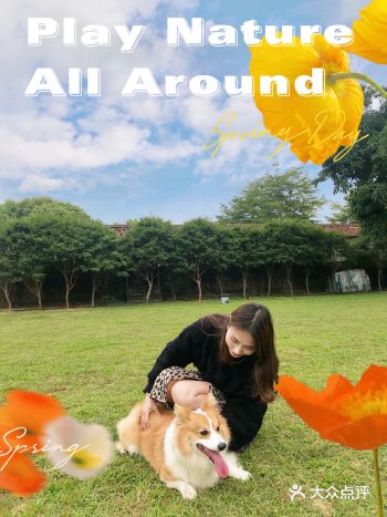 惠州最大的狗场 宠物的天堂