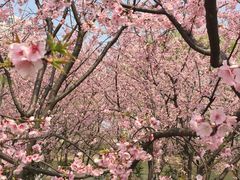 -白塘生态植物园