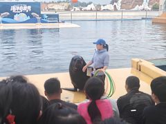 -秦皇岛乐岛海洋王国