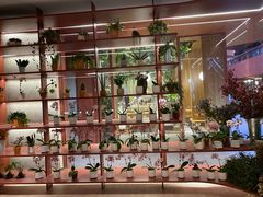 -二酉书店TOYOU BOOKS