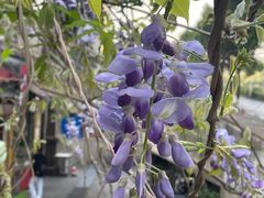 -爷爷的土钵菜(街道口店)