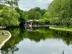 -上海共青森林公园