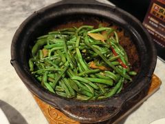 -天辣(金桥啦啦宝都店)