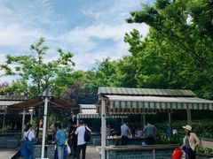 -吴淞炮台湾湿地森林公园烧烤区