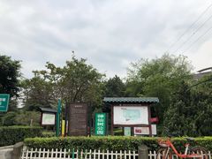 -神仙树公园