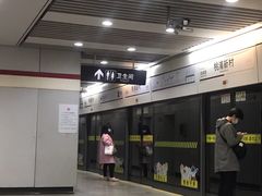 -桃浦新村(地铁站)