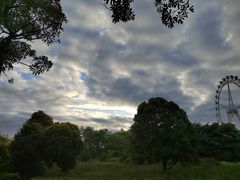 -海合安武汉极地海洋公园