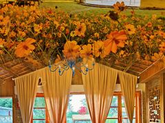 -广州市流溪河国家森林公园