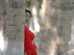 -长白岛森林公园