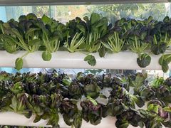 -楚鱼王·河鲜·湖北菜(华农店)