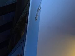 -三亚亚龙湾人间天堂鸟巢度假村
