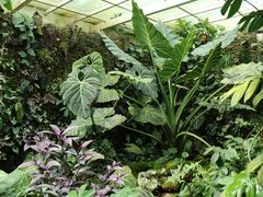 -昆明植物园