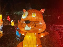 -南宫五洲植物乐园