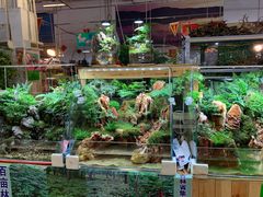-大自然花鸟鱼虫市场