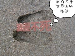 -日照海滨国家森林公园