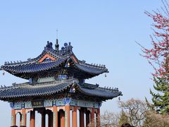 -梅花山(明孝陵内)