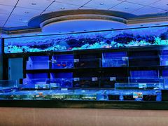 -粤珍轩.创始店.始于2001(含光门店)