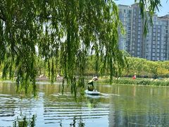 -新江湾城公园