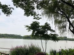 -昆山城市生态森林公园