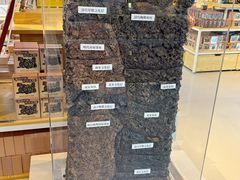 -南越王博物院(王宫展区)
