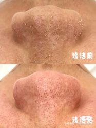 点击看大图 -玛莲朵·海菲秀冰珀科