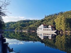 -深圳仙湖植物园