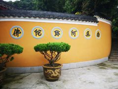 -珞珈山-售票处