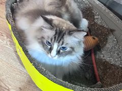 -白兔子密室(长寿路店)