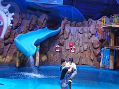 -烟台海昌鲸鲨海洋公园