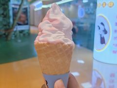 -香妃烤鸡(新奥店)