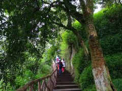 -张坝桂圆林公园