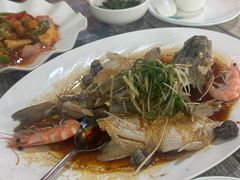 鲈鱼（）-东鸽皇(奥园·中环广场店)