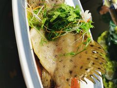 葱油老鼠斑-驻海渔市(置信店)