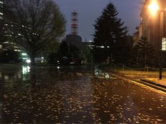 iphone_upload_pic-北海道厅旧本厅舍(旧本庁舎)